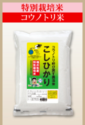特別栽培米コウノトリ米